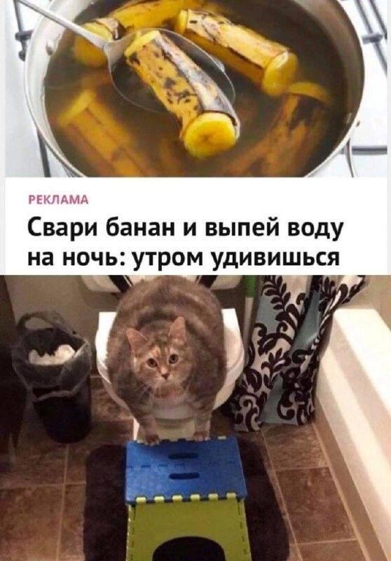 Немного мемов на ночь для хороших снов