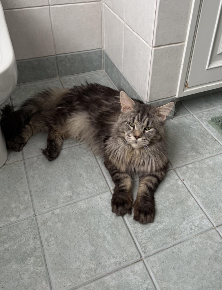 
        20&nbsp;пушистых примеров наполнения нашей жизни глубоким смыслом    