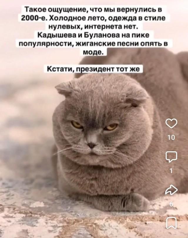 Подборка прикольных фото №3855