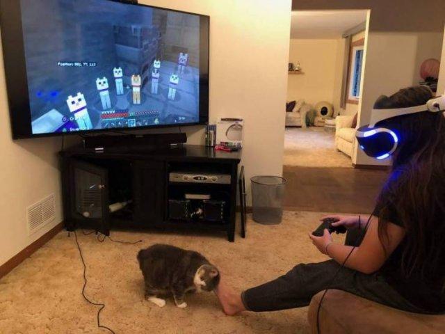 Подборка прикольных фото №3850