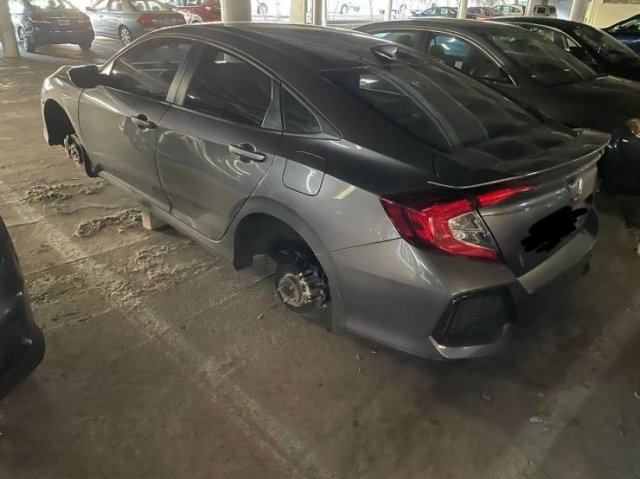 Подборка картинок. Вечерний выпуск - 24.12.2025 (30 фото)