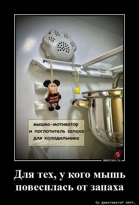 
			Демотиваторы №3777 (15 фото)