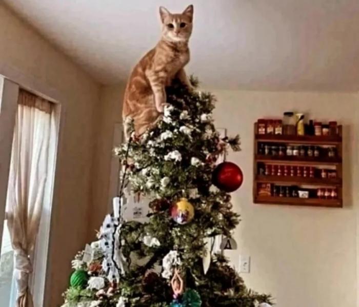 Подборка прикольных фото №3859