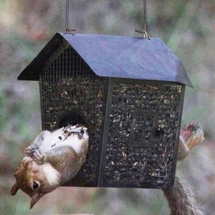 Подборка прикольных фото №3852