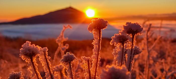 Подборка прикольных фото №3856