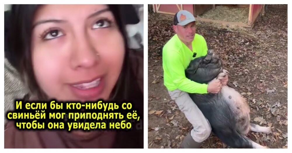 Фермер исполнил странное желание незнакомки
Фермер исполнил странное желание незнакомки