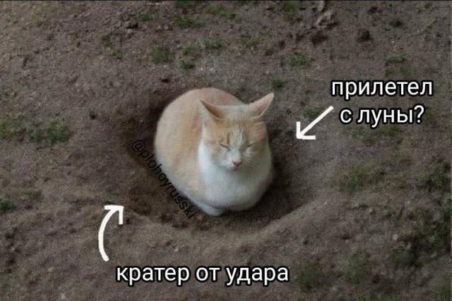 Немного мемов на ночь для хороших снов