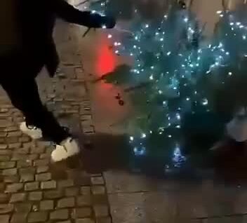 В Германии приезжий повалил новогоднюю ёлку и сорвал украшения
В Германии приезжий повалил новогоднюю ёлку и сорвал украшения