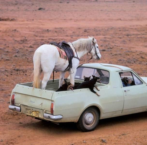 Подборка прикольных фото №3842