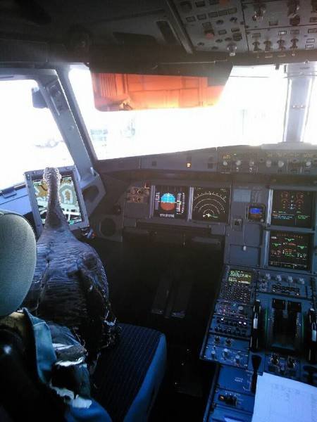 Подборка картинок. Вечерний выпуск - 24.12.2025 (30 фото)