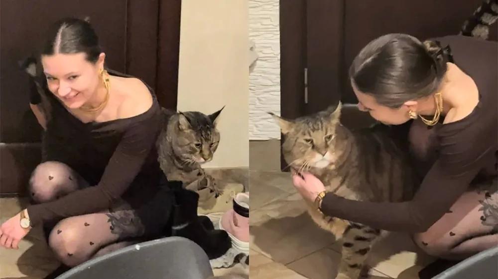 Огромный кот, которого хочется обнимать
Огромный кот, которого хочется обнимать