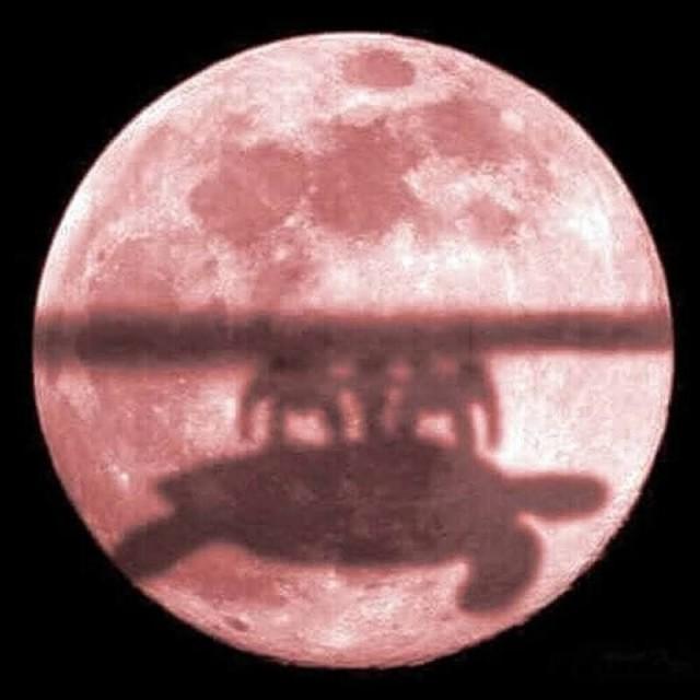 Подборка прикольных фото №3847