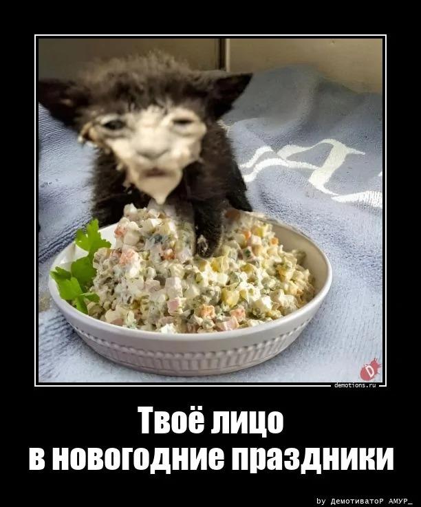 
			Демотиваторы №3779 (15 фото)