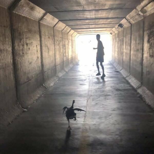 Подборка прикольных фото №3842