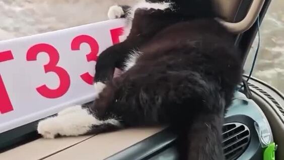 
        Самый важный пассажир    