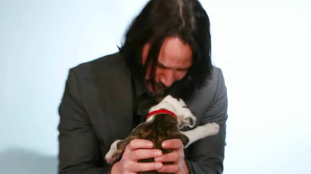 Киану Ривз открыл крупнейший в мире бесплатный приют для кошек и собак
Киану Ривз открыл крупнейший в мире бесплатный приют для кошек и собак