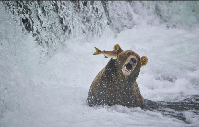 Подборка прикольных фото №3838