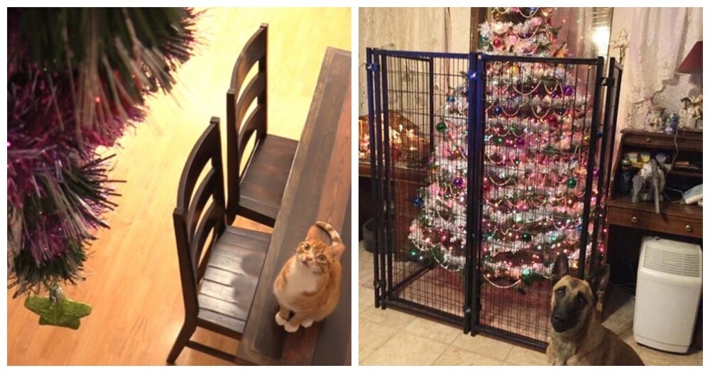 
        22&nbsp;проверенных способа защитить новогоднее чудо и&nbsp;сохранить нервы    