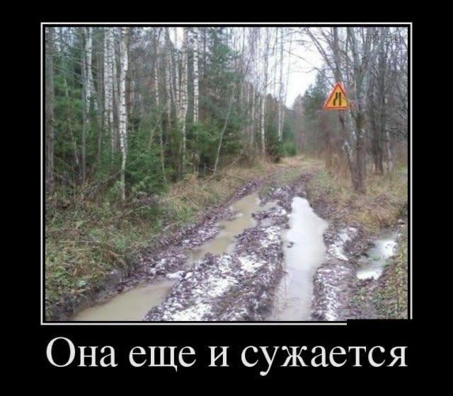 
			Демотиваторы №3776 (15 фото)