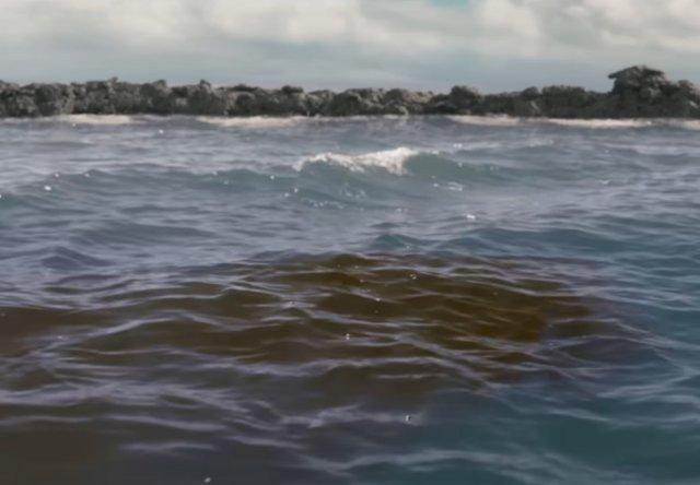 Новый треш-хоррор про косатку-убийцу рассмешил зрителей