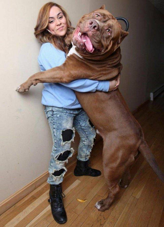 Подборка прикольных фото №3850