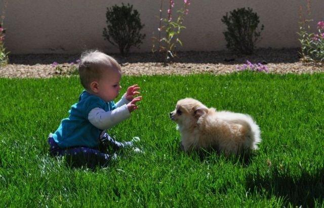 Подборка прикольных фото №3843