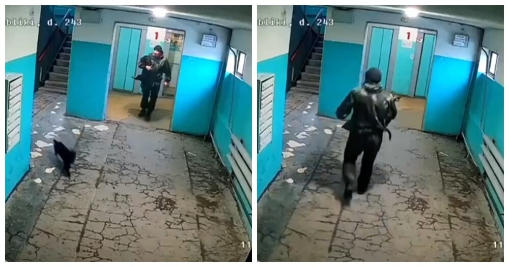 «Даже страшно представить, что он дома творит»: мужчина избил свою таксу в подъезде
«Даже страшно представить, что он дома творит»: мужчина избил свою таксу в подъезде