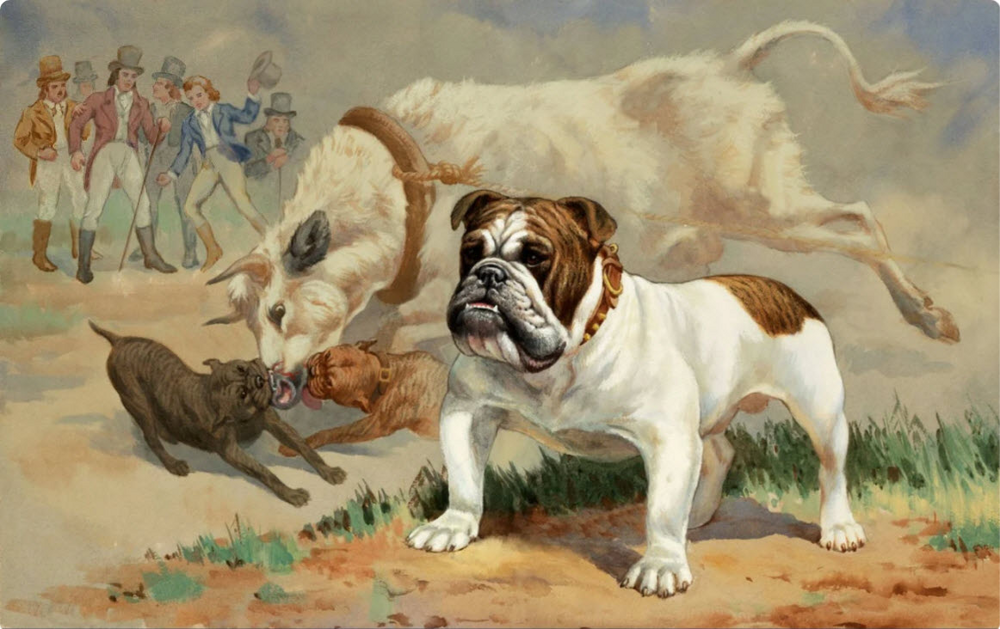 Топ психически нездоровых пород
Топ психически нездоровых пород