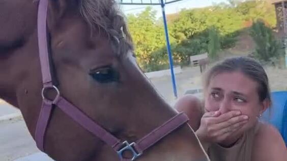 
        Как&nbsp;девушка и&nbsp;лошадь делили яблоко    