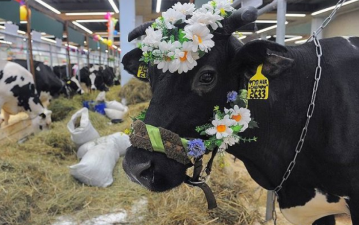 Подборка прикольных фото №3846