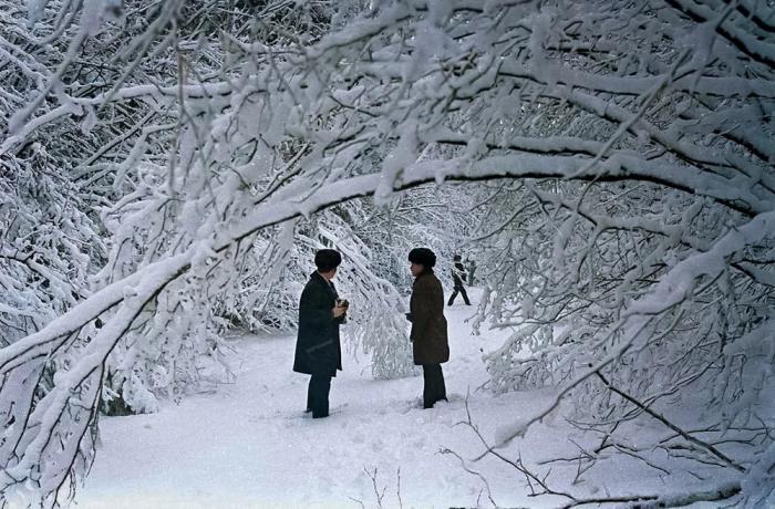 Подборка прикольных фото №3856