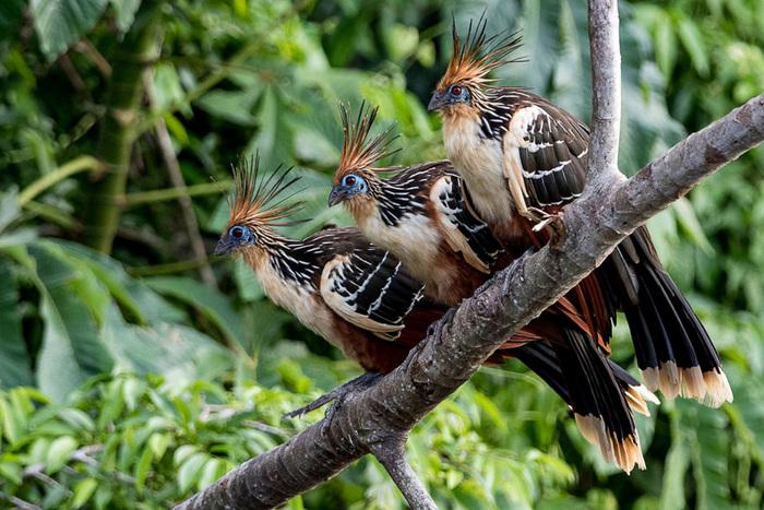 Подборка прикольных фото №3856