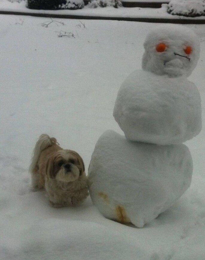 
        25&nbsp;примеров трогательного знакомства домашних питомцев с&nbsp;милыми снеговиками и&nbsp;собственными снежными копиями    