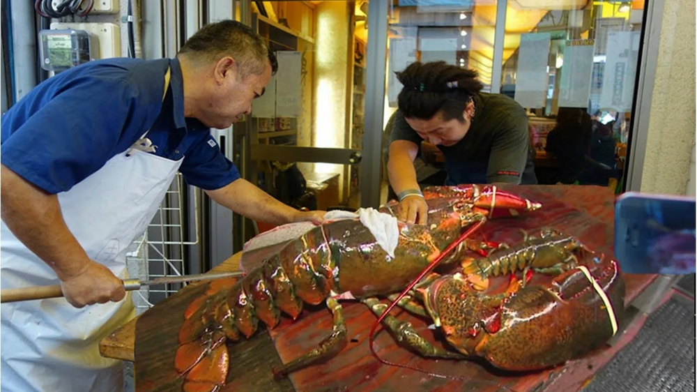 Лангуст: почему огромные раки отказались от клешней?
Лангуст: почему огромные раки отказались от клешней?