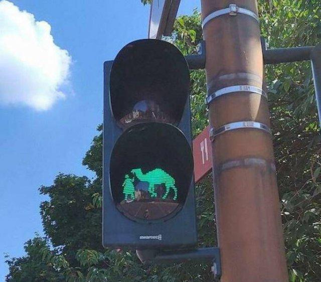 Подборка прикольных фото №3841