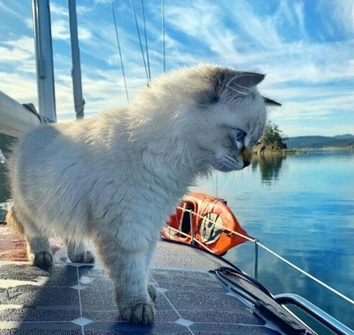 Подборка прикольных фото №3859