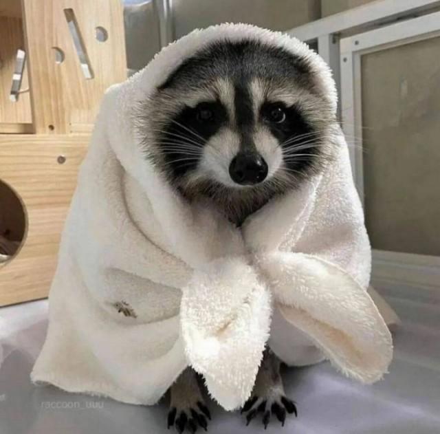 Подборка прикольных фото №3852