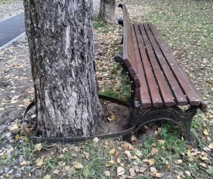 Подборка прикольных фото №3846