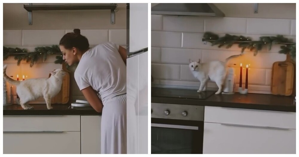 Девушка хотела снять милое видео с пушистым другом, а получилось огненное
Девушка хотела снять милое видео с пушистым другом, а получилось огненное