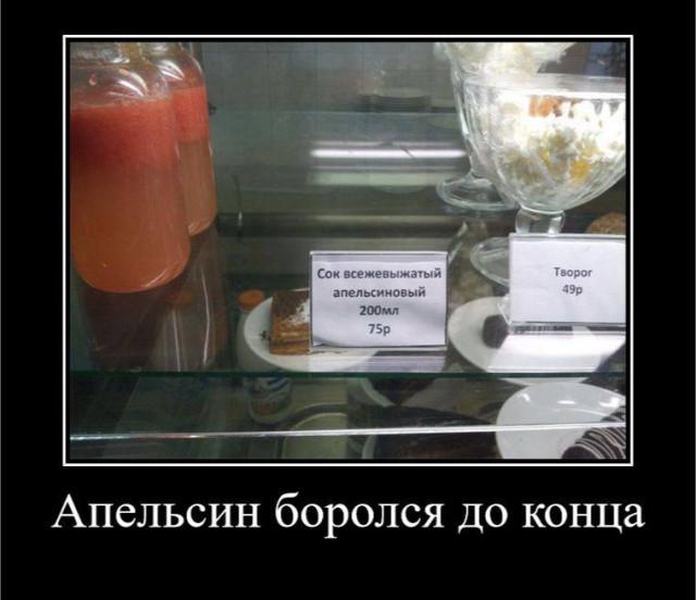 
			Демотиваторы №3776 (15 фото)