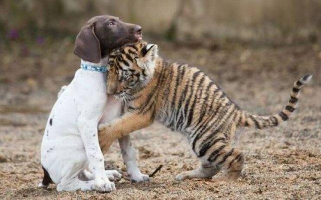 Подборка прикольных фото №3851