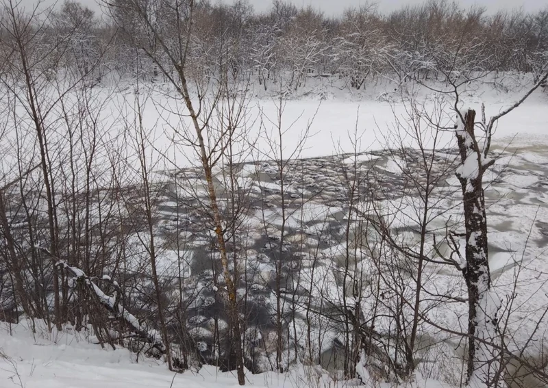 
        Более 200&nbsp;овец утонули в&nbsp;озере в&nbsp;Башкирии    