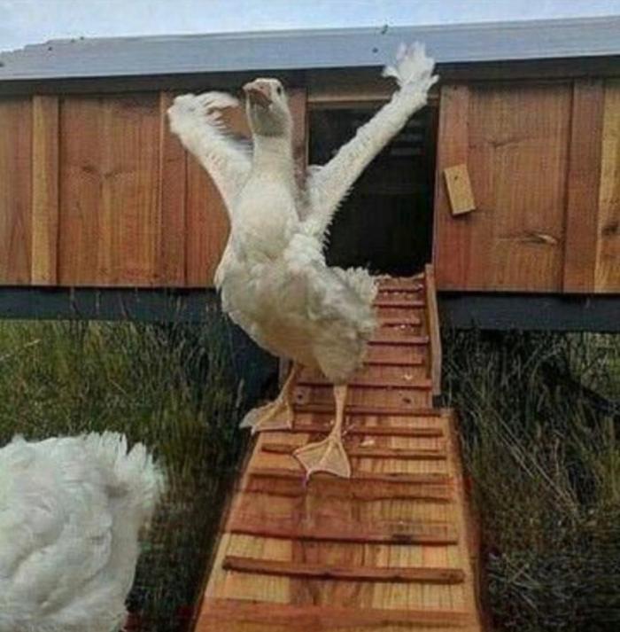 Подборка прикольных фото №3838