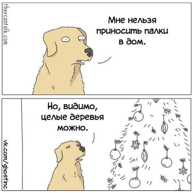 Новогодние картинки и мемы для хорошего настроения - подборка к 2026 году