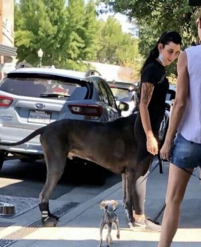 Подборка прикольных фото №3854