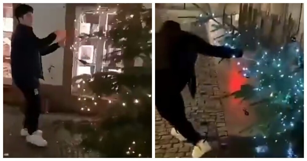 В Германии приезжий повалил новогоднюю ёлку и сорвал украшения
В Германии приезжий повалил новогоднюю ёлку и сорвал украшения