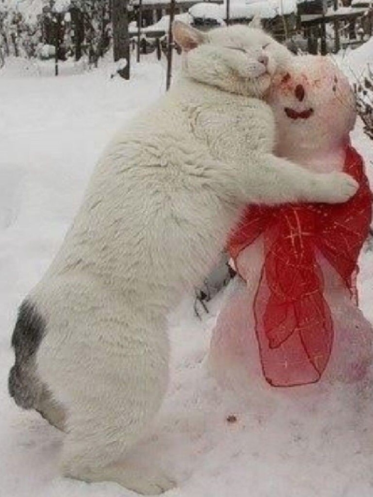 
        25&nbsp;примеров трогательного знакомства домашних питомцев с&nbsp;милыми снеговиками и&nbsp;собственными снежными копиями    