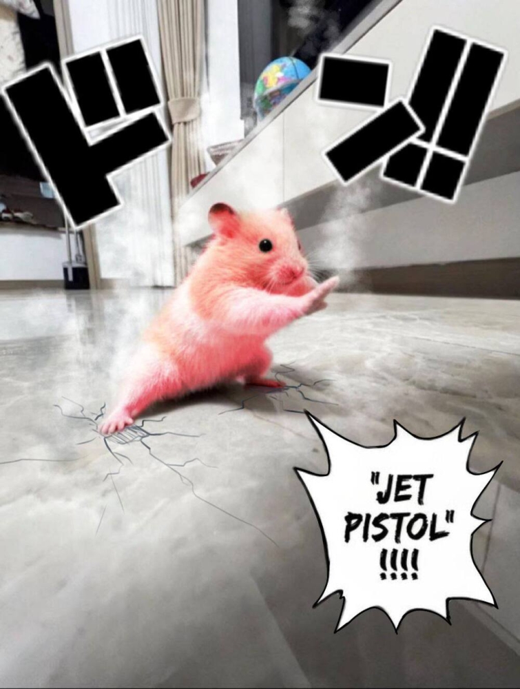 
        Кунг-фу хомяк прославился в&nbsp;сети    