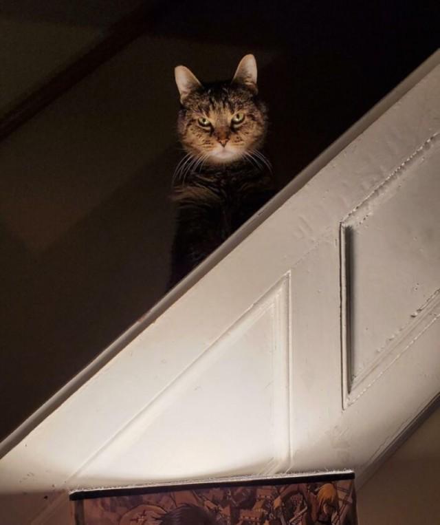 Подборка прикольных фото №3855