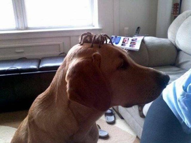 Подборка прикольных фото №3858